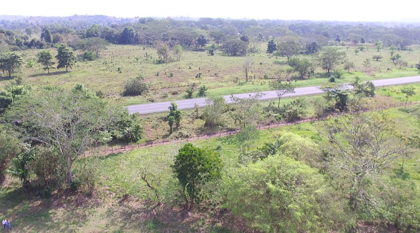 Zona Verde